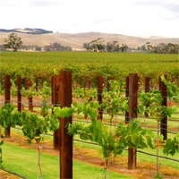 Adelaide-Barossa Valley