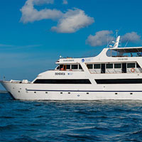 Ecuador - Seastar - Front View