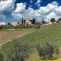 Chianti Wine Region