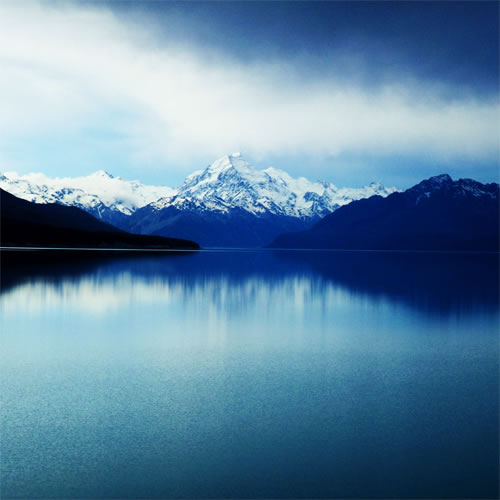 Is Fox Car Rental Out Of New Zealand Is Fox Car Rental Out Of New Zealand