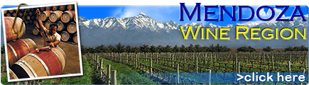 Mendoza Wine Region Banner